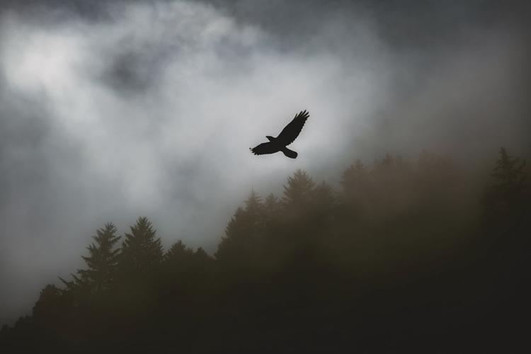 30 SMS pour Exprimer des Condoléances avec Compassion et Soutien